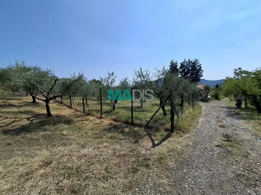 Immagine 64 di Terreno in vendita  in via di malcantone e vignone a Prato