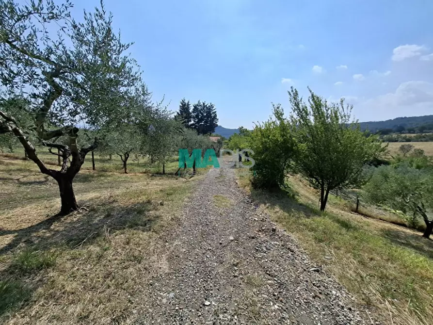 Immagine 65 di Terreno in vendita  in via di malcantone e vignone a Prato