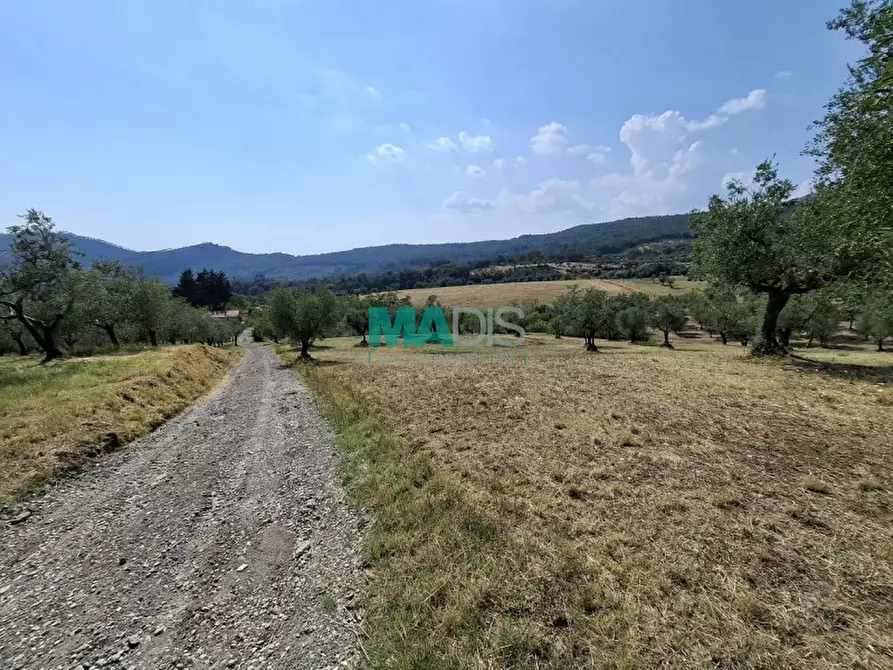 Immagine 68 di Terreno in vendita  in via di malcantone e vignone a Prato