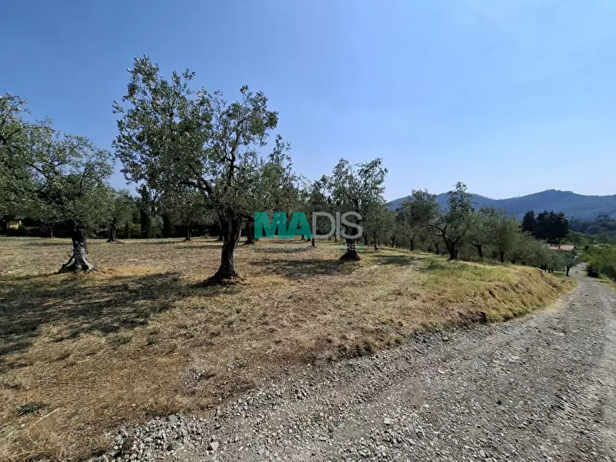 Immagine 69 di Terreno in vendita  in via di malcantone e vignone a Prato