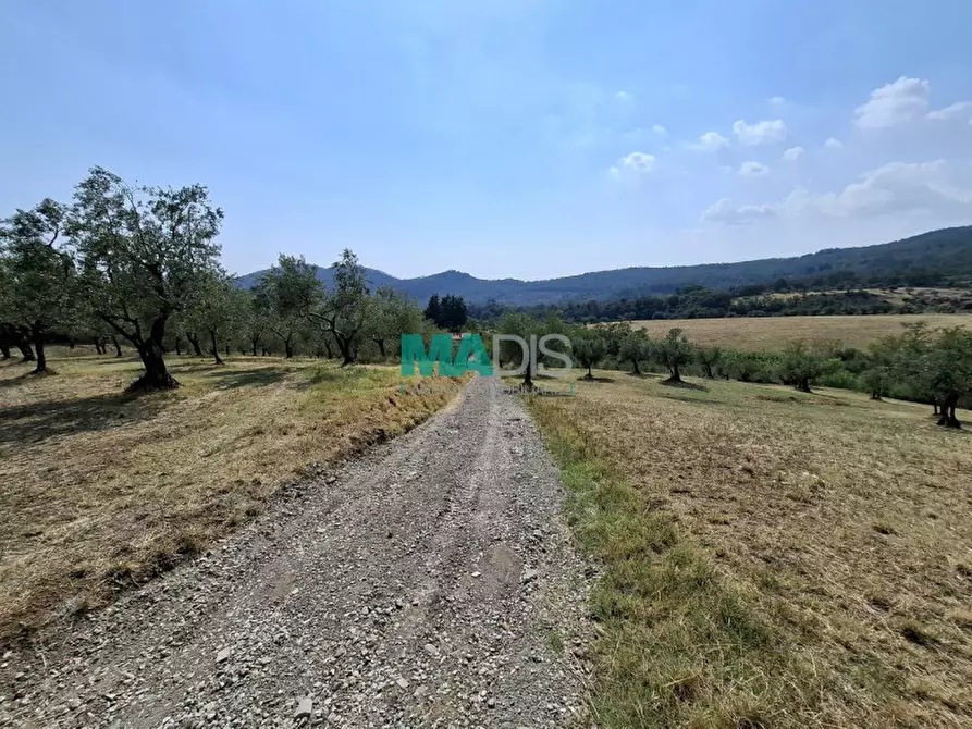 Immagine 72 di Terreno in vendita  in via di malcantone e vignone a Prato