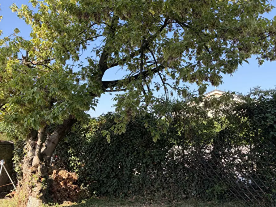 Immagine 1 di Appartamento in affitto  in via san Pio x a Castelfranco Veneto