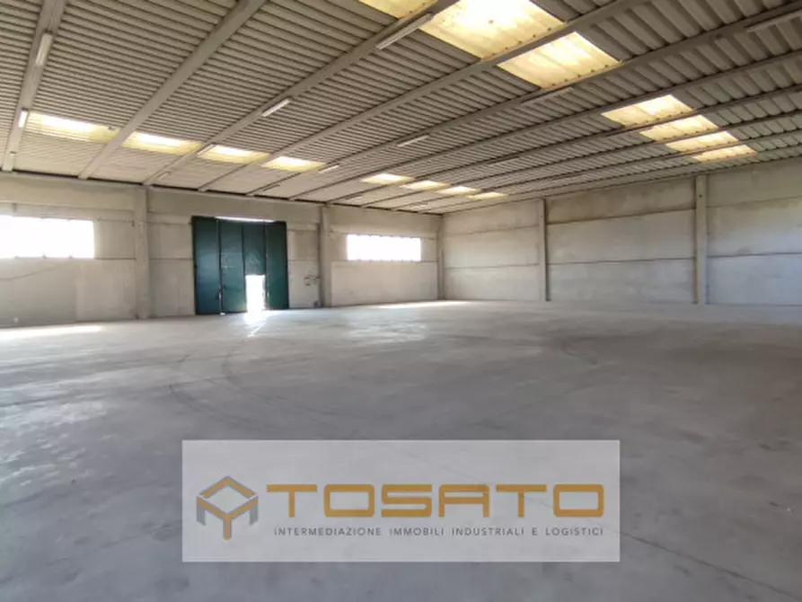 Immagine 1 di Capannone industriale in affitto  a Casale Di Scodosia