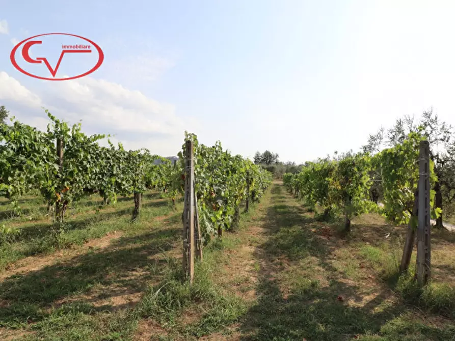 Immagine 3 di Terreno in vendita  in Via Chiantigiana a Montevarchi