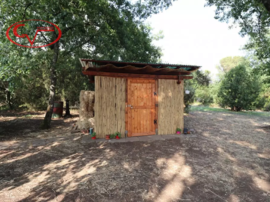 Immagine 4 di Terreno in vendita  in Via Chiantigiana a Montevarchi