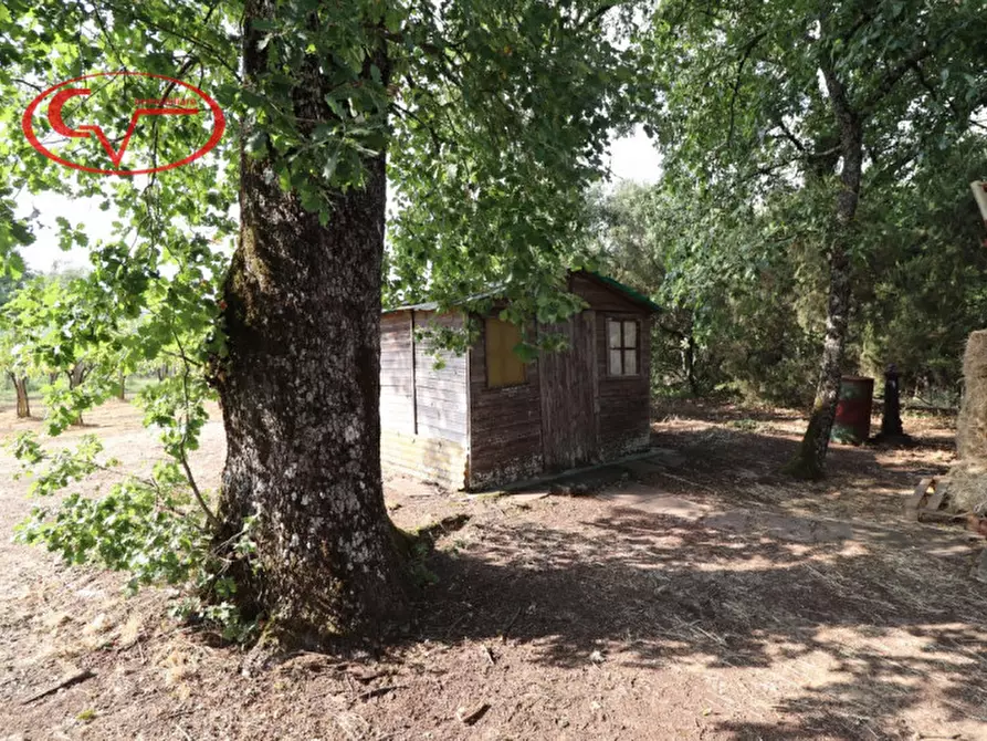 Immagine 5 di Terreno in vendita  in Via Chiantigiana a Montevarchi