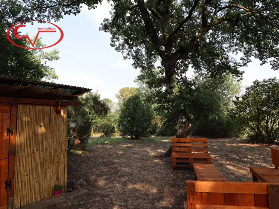 Immagine 7 di Terreno in vendita  in Via Chiantigiana a Montevarchi