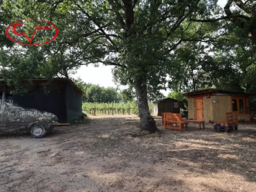Immagine 8 di Terreno in vendita  in Via Chiantigiana a Montevarchi