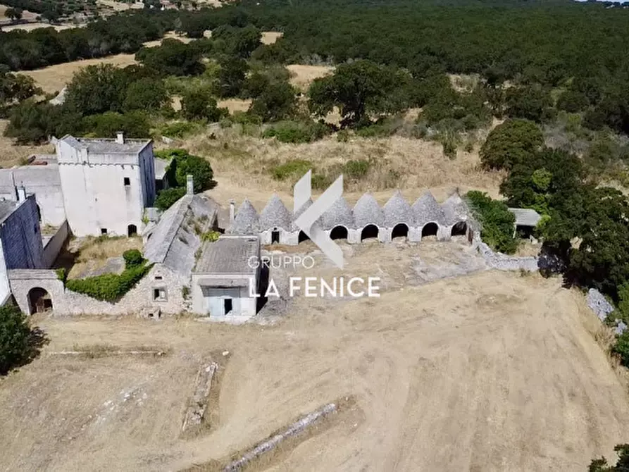 Immagine 2 di Rustico / casale in vendita  in Località Menzane a Martina Franca