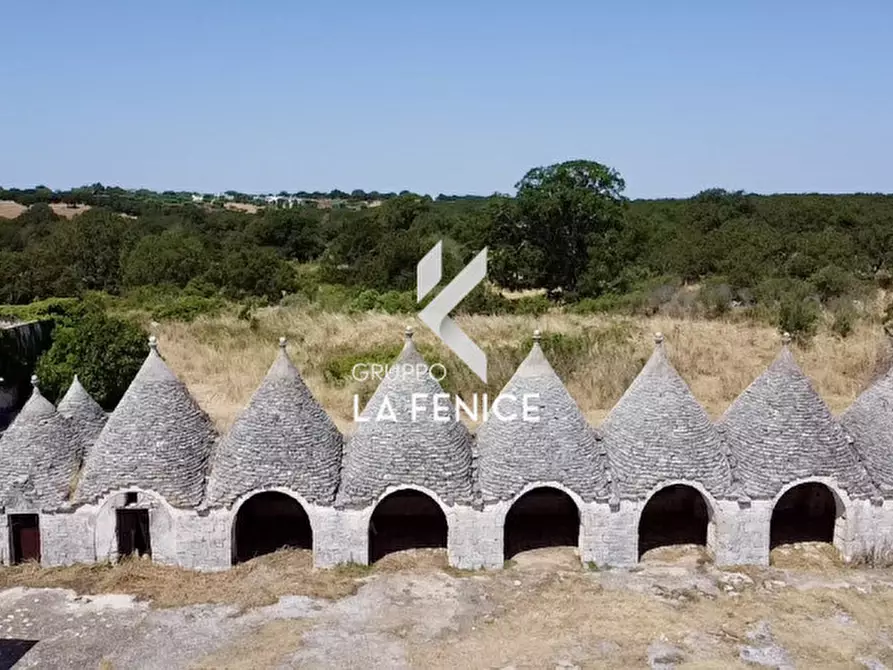 Immagine 3 di Rustico / casale in vendita  in Località Menzane a Martina Franca