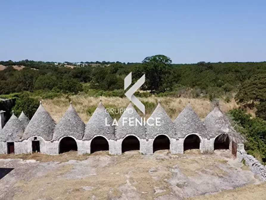 Immagine 11 di Rustico / casale in vendita  in Località Menzane a Martina Franca