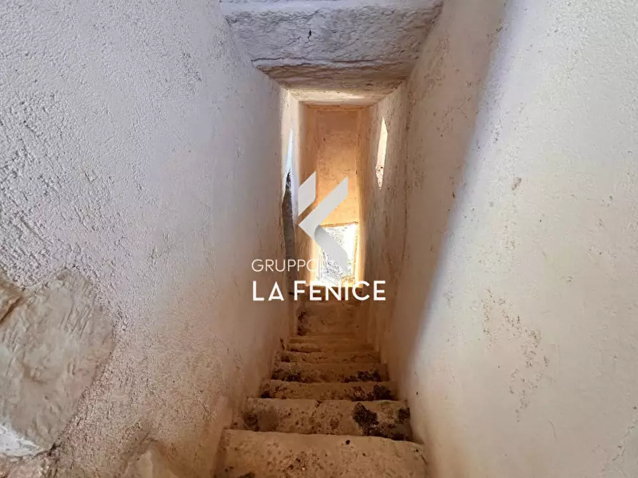 Immagine 28 di Rustico / casale in vendita  in Località Menzane a Martina Franca