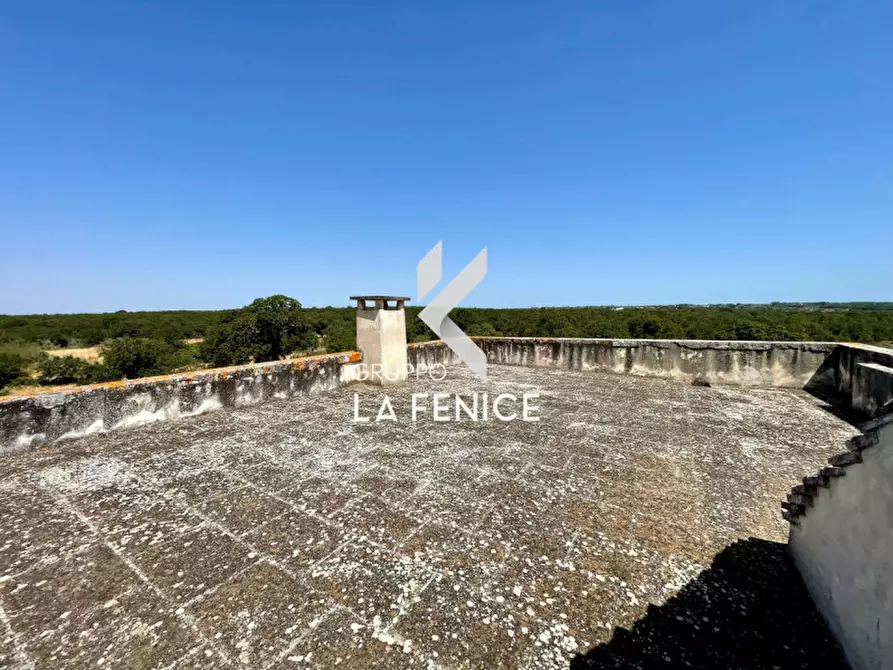 Immagine 33 di Rustico / casale in vendita  in Località Menzane a Martina Franca