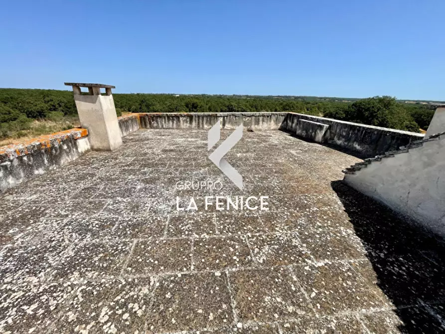 Immagine 34 di Rustico / casale in vendita  in Località Menzane a Martina Franca