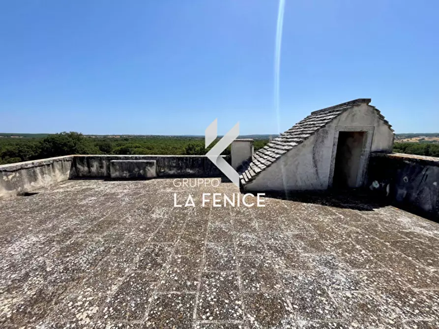 Immagine 35 di Rustico / casale in vendita  in Località Menzane a Martina Franca