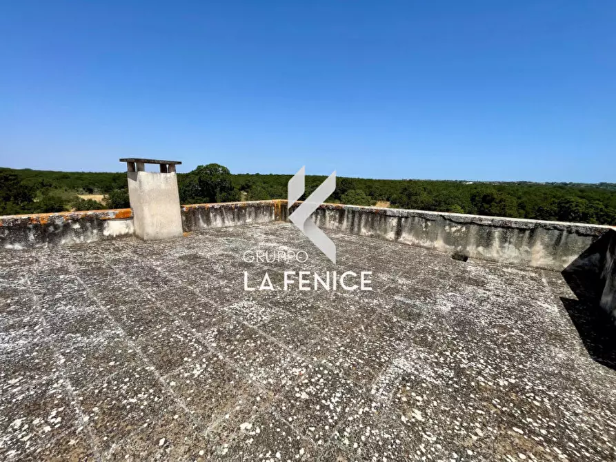 Immagine 37 di Rustico / casale in vendita  in Località Menzane a Martina Franca