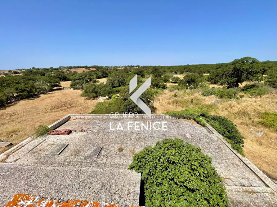 Immagine 38 di Rustico / casale in vendita  in Località Menzane a Martina Franca