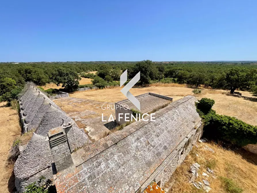 Immagine 41 di Rustico / casale in vendita  in Località Menzane a Martina Franca