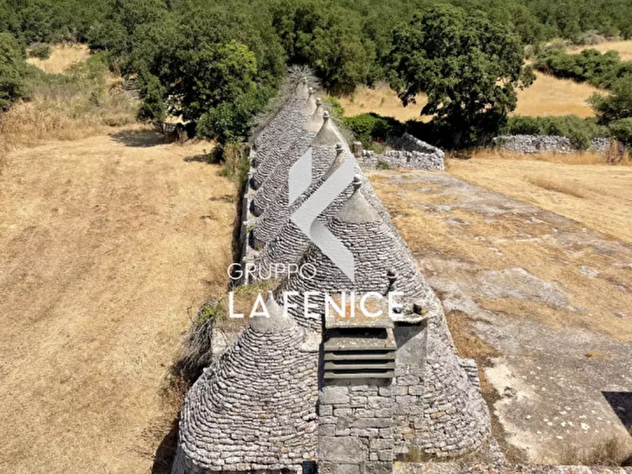 Immagine 42 di Rustico / casale in vendita  in Località Menzane a Martina Franca