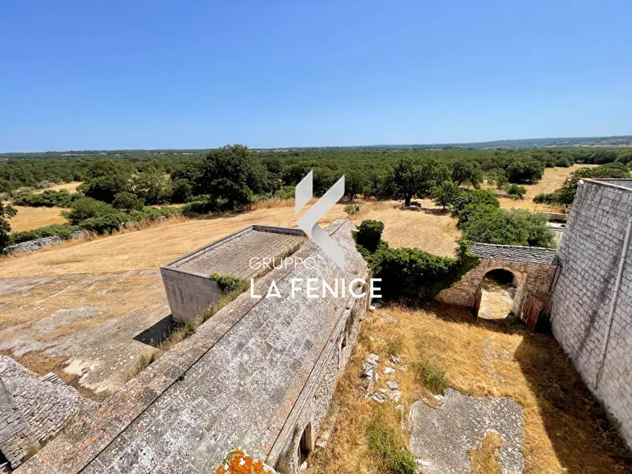Immagine 43 di Rustico / casale in vendita  in Località Menzane a Martina Franca