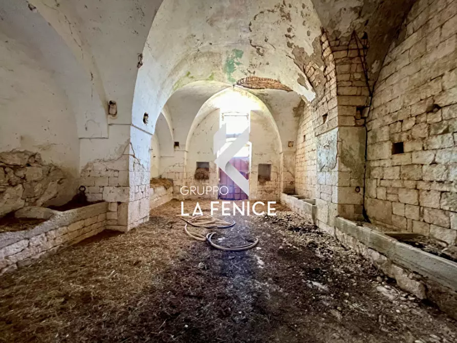 Immagine 45 di Rustico / casale in vendita  in Località Menzane a Martina Franca