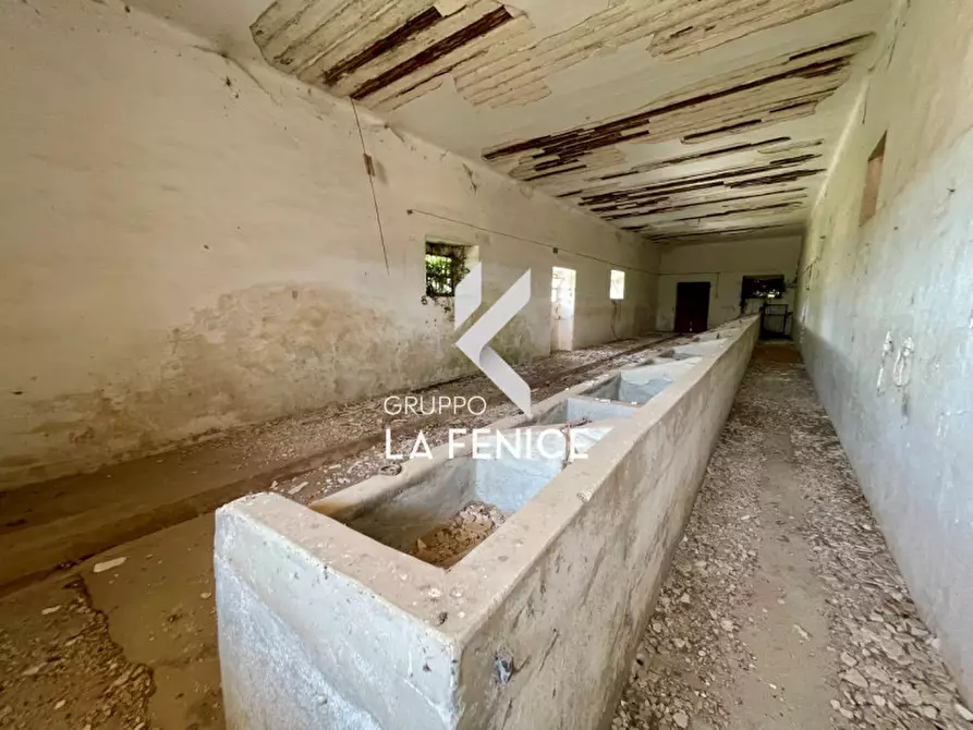Immagine 52 di Rustico / casale in vendita  in Località Menzane a Martina Franca