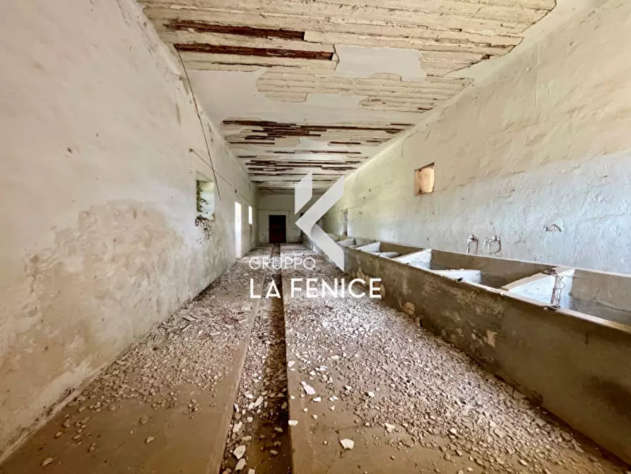 Immagine 54 di Rustico / casale in vendita  in Località Menzane a Martina Franca