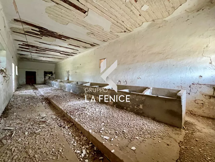 Immagine 55 di Rustico / casale in vendita  in Località Menzane a Martina Franca