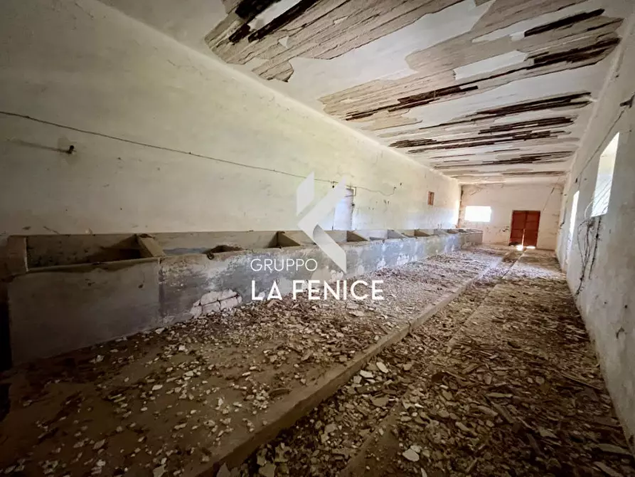 Immagine 56 di Rustico / casale in vendita  in Località Menzane a Martina Franca