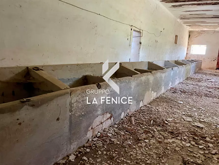 Immagine 57 di Rustico / casale in vendita  in Località Menzane a Martina Franca