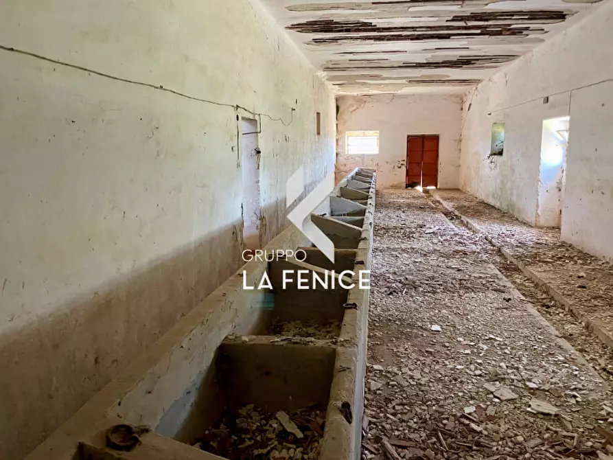 Immagine 58 di Rustico / casale in vendita  in Località Menzane a Martina Franca