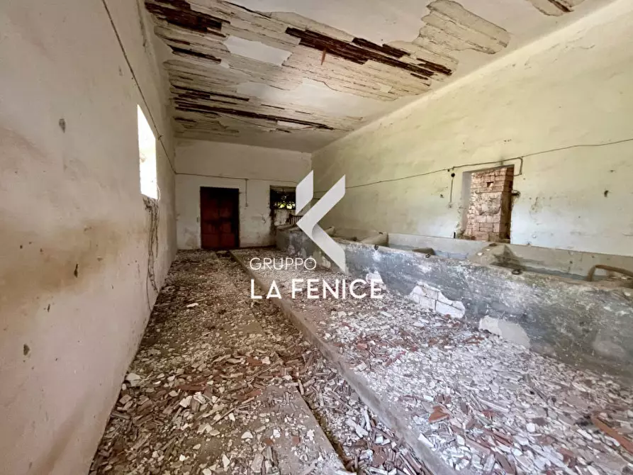 Immagine 62 di Rustico / casale in vendita  in Località Menzane a Martina Franca