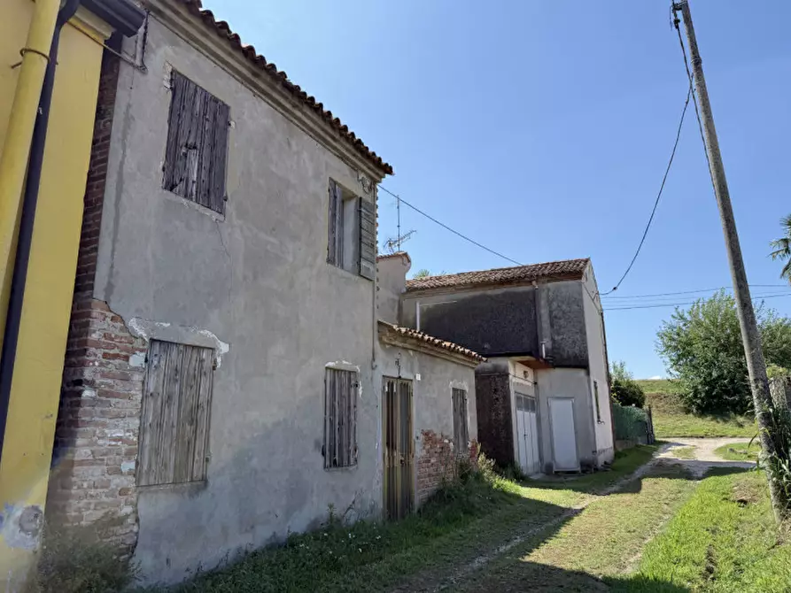 Immagine 3 di Casa indipendente in vendita  in Via Gorzone Sinistro Superiore a Stanghella