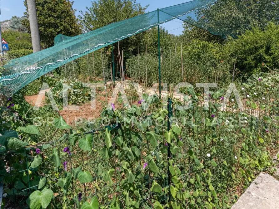 Immagine 31 di Appartamento in vendita  in Via italia a Paitone