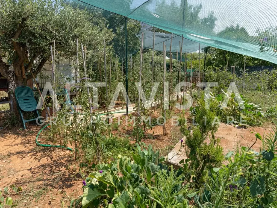 Immagine 33 di Appartamento in vendita  in Via italia a Paitone