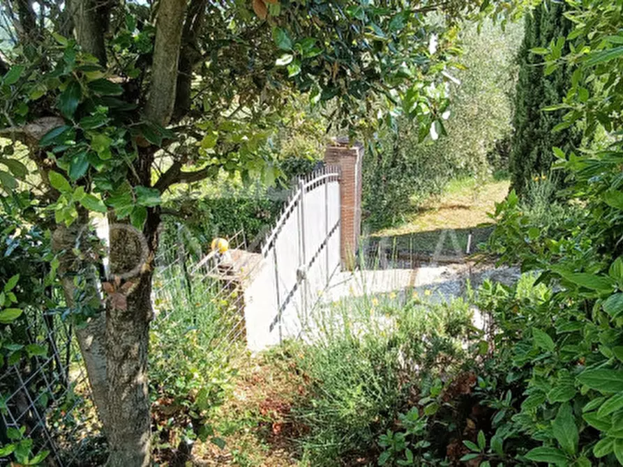 Immagine 20 di Rustico / casale in vendita  a San Miniato