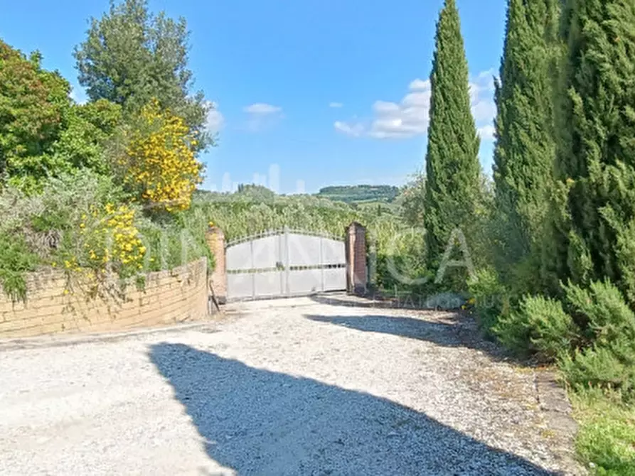 Immagine 21 di Rustico / casale in vendita  a San Miniato