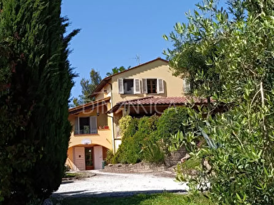 Immagine 40 di Rustico / casale in vendita  a San Miniato
