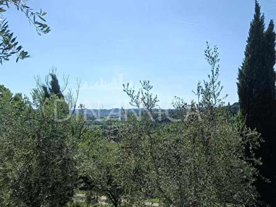 Immagine 42 di Rustico / casale in vendita  a San Miniato
