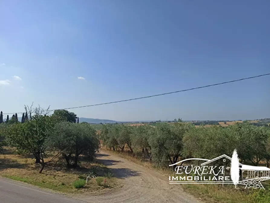 Immagine 15 di Appartamento in vendita  in Badia a Castiglione Del Lago
