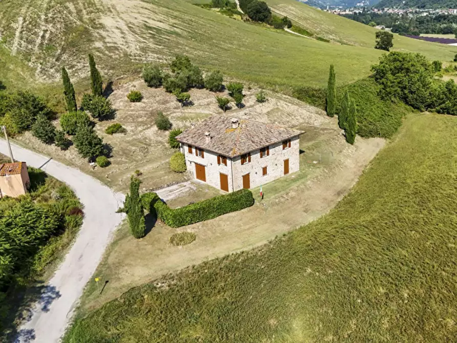 Immagine 4 di Rustico / casale in vendita  in via Pieve a Belforte All'isauro
