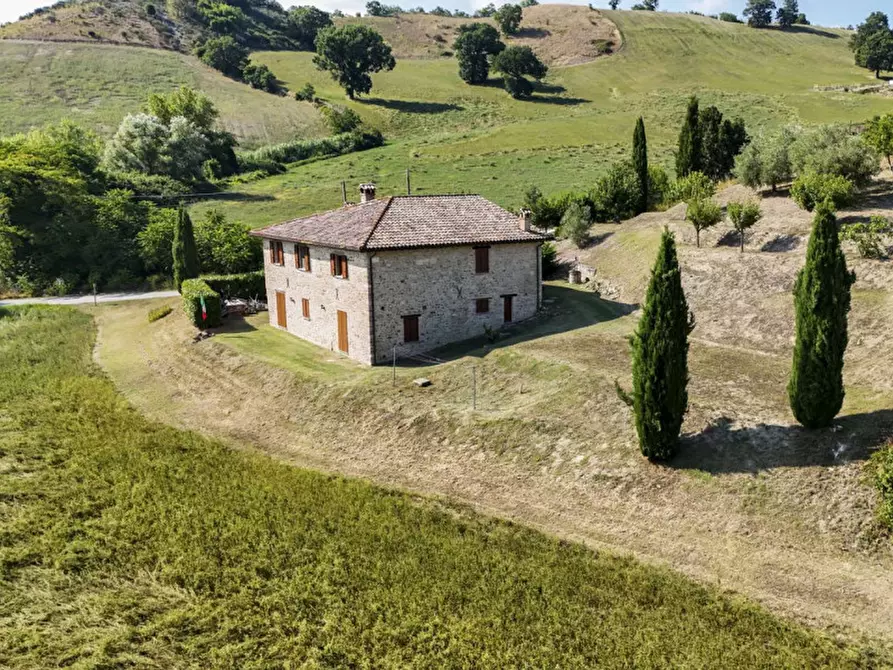 Immagine 6 di Rustico / casale in vendita  in via Pieve a Belforte All'isauro