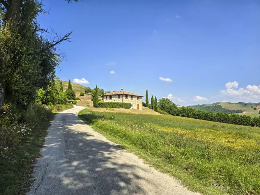 Immagine 8 di Rustico / casale in vendita  in via Pieve a Belforte All'isauro
