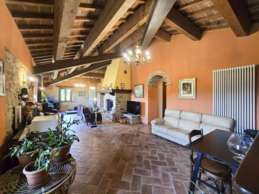 Immagine 12 di Rustico / casale in vendita  in via Pieve a Belforte All'isauro