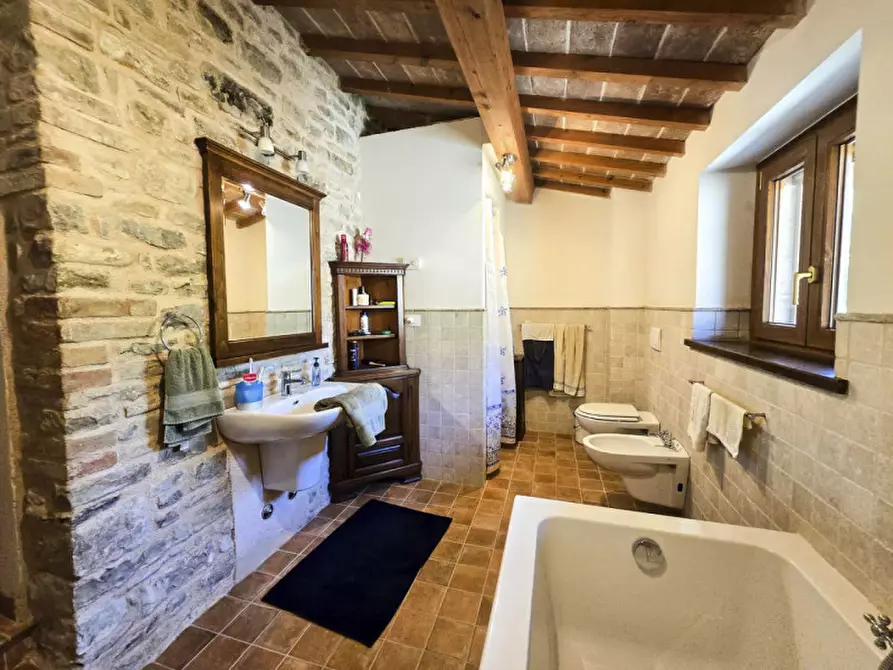 Immagine 18 di Rustico / casale in vendita  in via Pieve a Belforte All'isauro