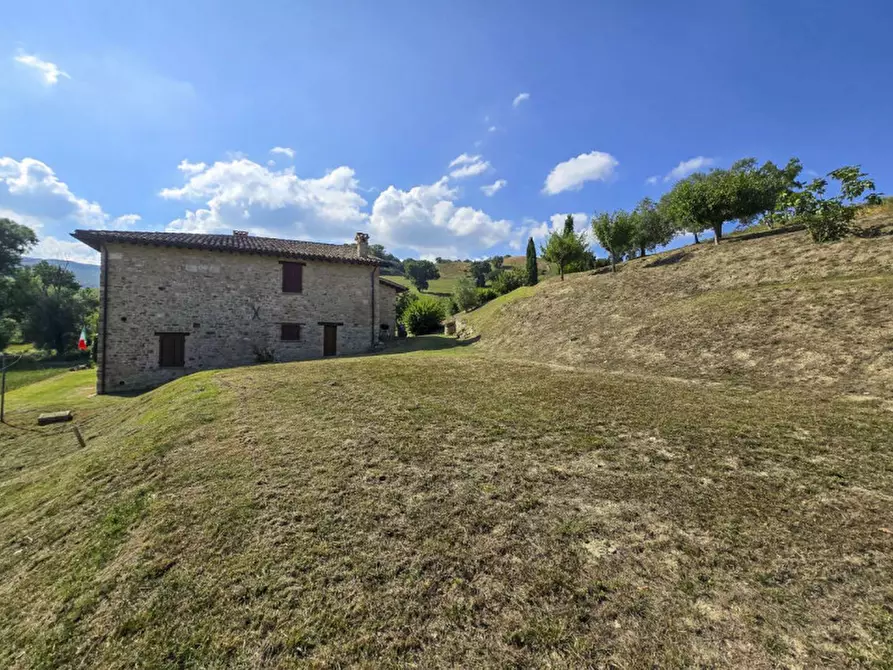 Immagine 26 di Rustico / casale in vendita  in via Pieve a Belforte All'isauro