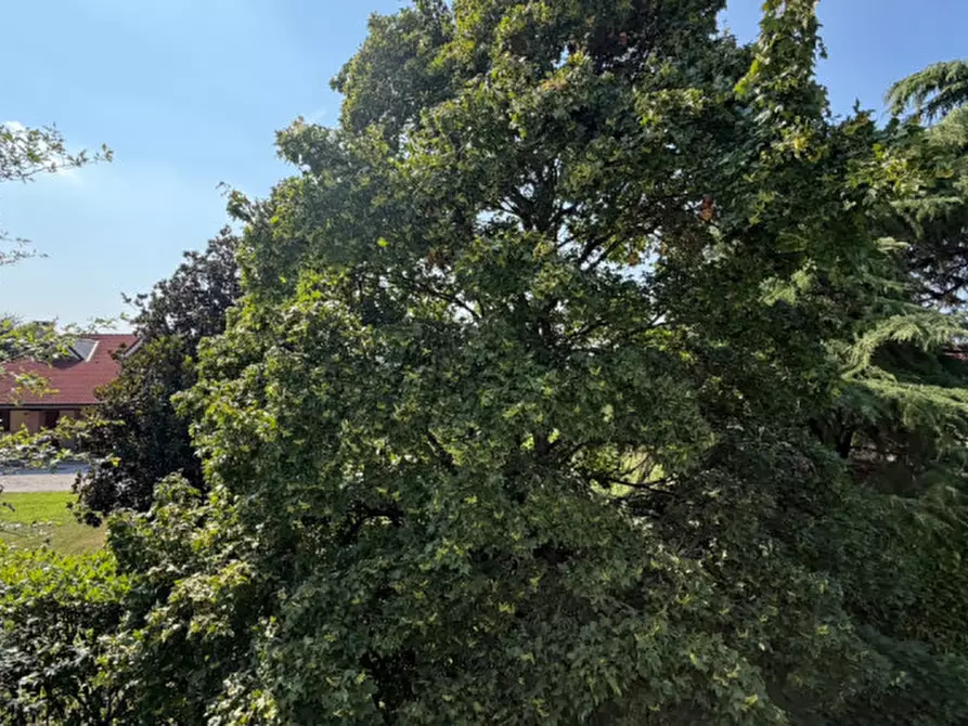 Immagine 45 di Villa in affitto  in Via Albere 13/A a Santa Giustina In Colle