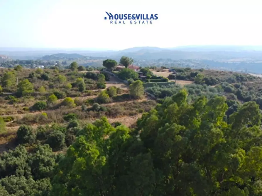 Immagine 1 di Villa in vendita  in cda sant elia a Noto