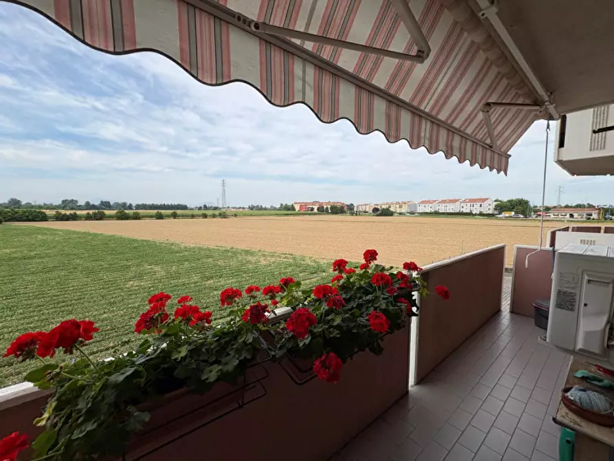 Immagine 10 di Appartamento in vendita  in via montà 167 a Padova
