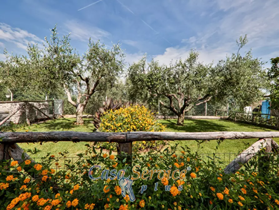 Immagine 26 di Villa in vendita  in Viale Primo Maggio a Marino